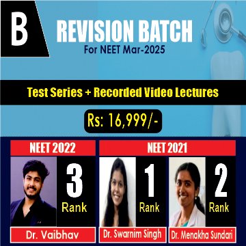 Revision-Batch-360x360-B