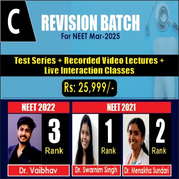 Revision-Batch-360x360-C